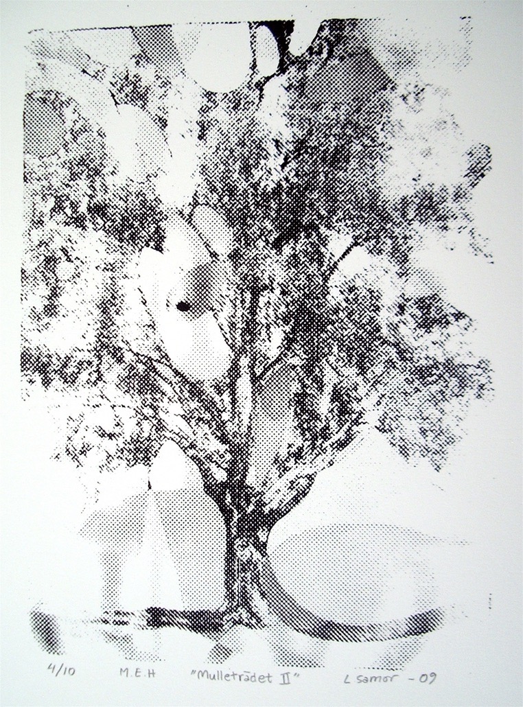 silkscreen: Mulletr&auml;det II 20x27  (1/10) 900sek 